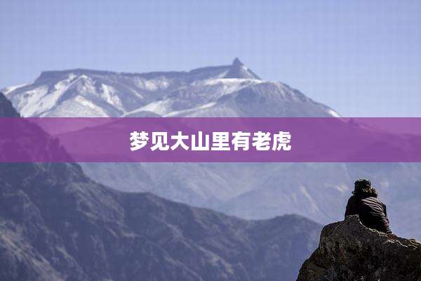 梦见大山里有老虎