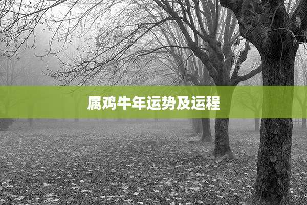 属鸡牛年运势及运程