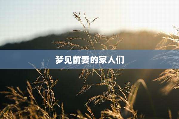 梦见前妻的家人们