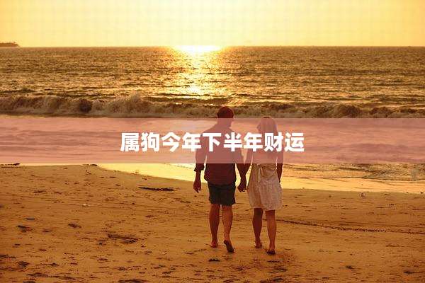 属狗今年下半年财运