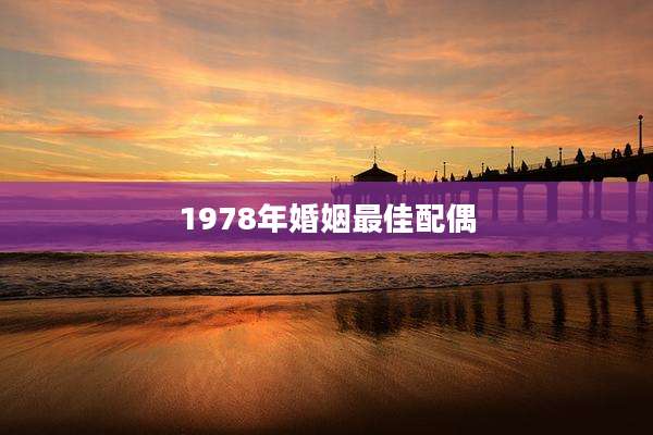 1978年婚姻最佳配偶