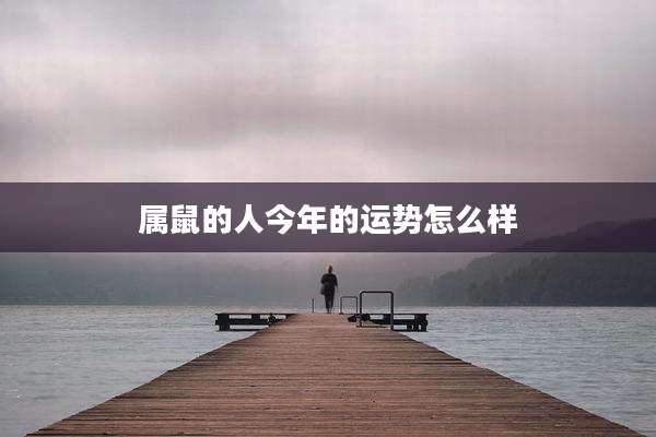属鼠的人今年的运势怎么样