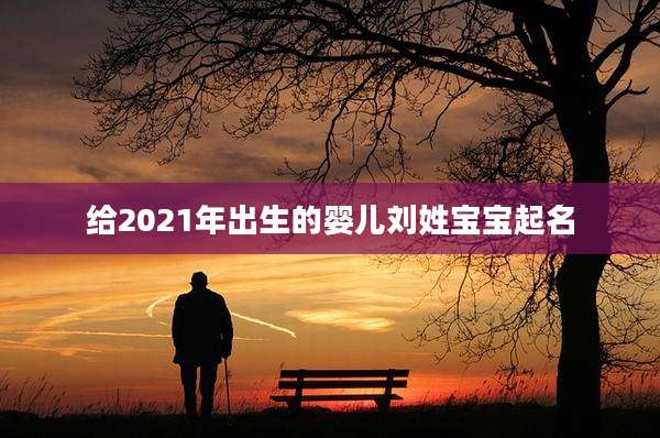 给2021年出生的婴儿刘姓宝宝起名
