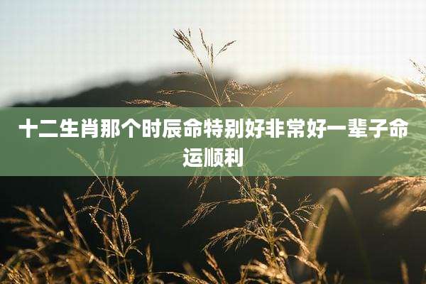 十二生肖那个时辰命特别好非常好一辈子命运顺利