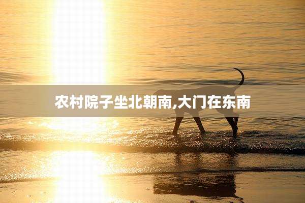 农村院子坐北朝南,大门在东南