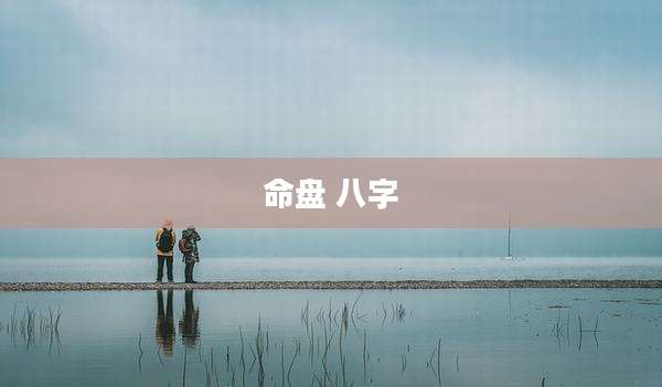命盘 八字