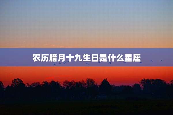 农历腊月十九生日是什么星座