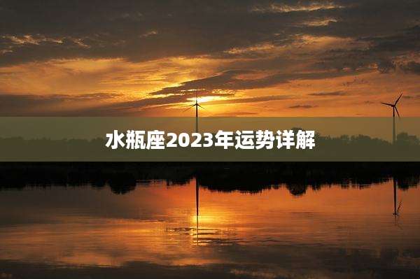 水瓶座2023年运势详解