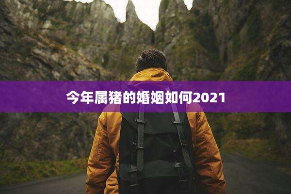 今年属猪的婚姻如何2021