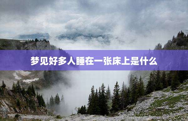 梦见好多人睡在一张床上是什么