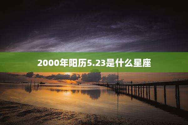 2000年阳历5.23是什么星座