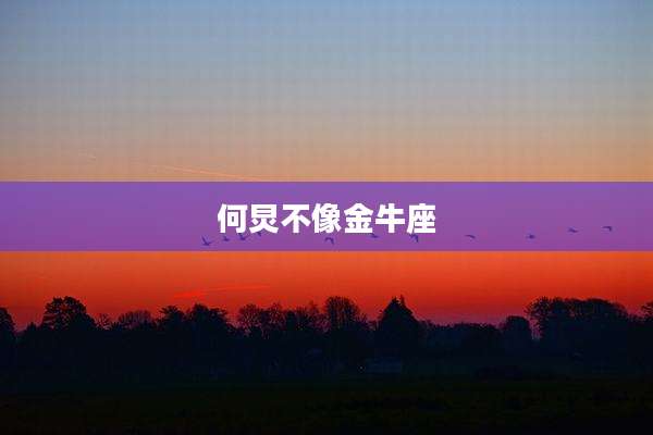 何炅不像金牛座