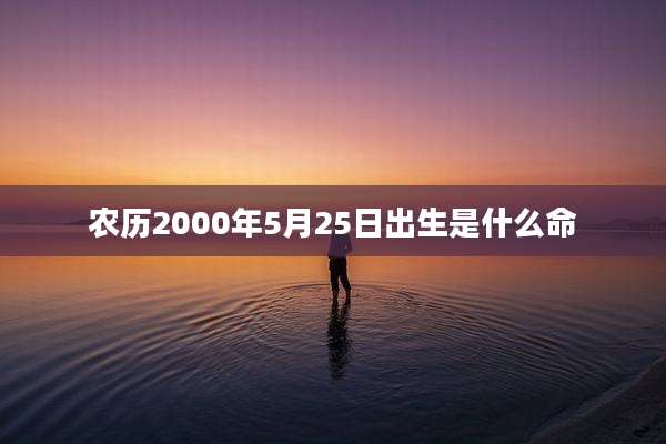 农历2000年5月25日出生是什么命