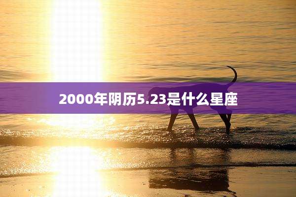 2000年阴历5.23是什么星座