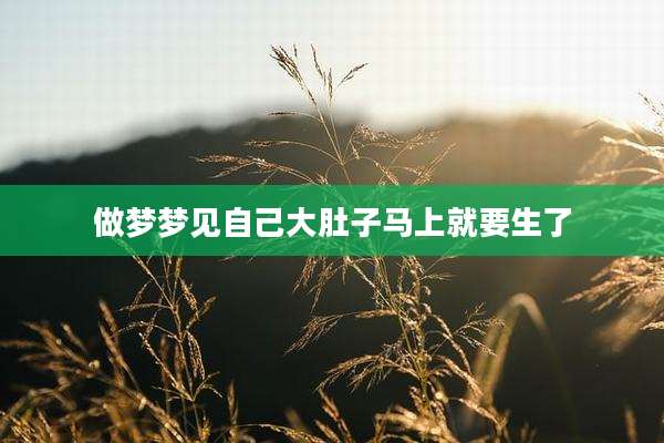 做梦梦见自己大肚子马上就要生了