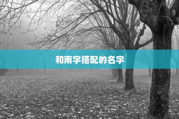和南字搭配的名字