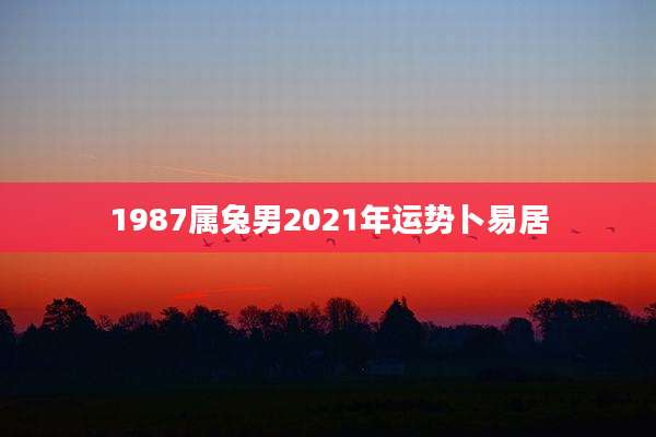 1987属兔男2021年运势卜易居