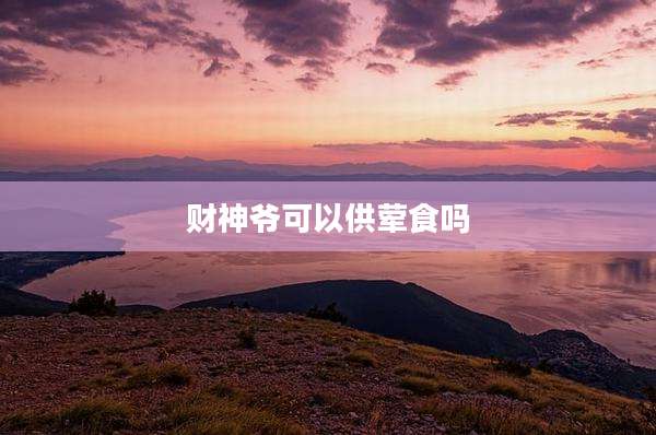财神爷可以供荤食吗