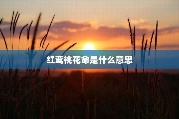 红鸾桃花命是什么意思