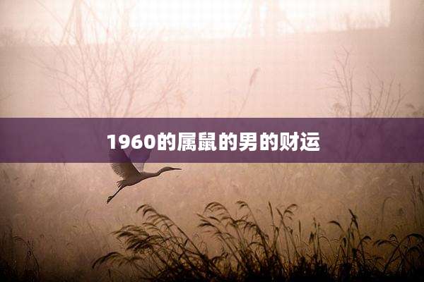 1960的属鼠的男的财运