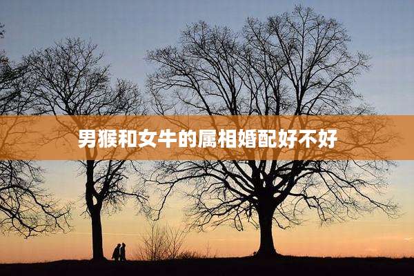 男猴和女牛的属相婚配好不好