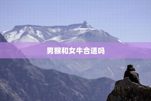 男猴和女牛合适吗