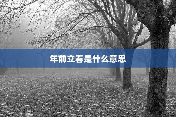 年前立春是什么意思