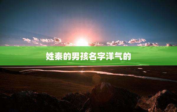 姓秦的男孩名字洋气的