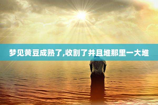 梦见黄豆成熟了,收割了并且堆那里一大堆