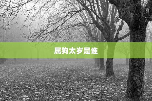 属狗太岁是谁