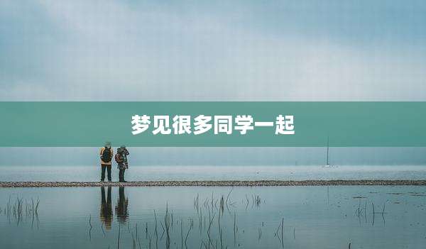 梦见很多同学一起