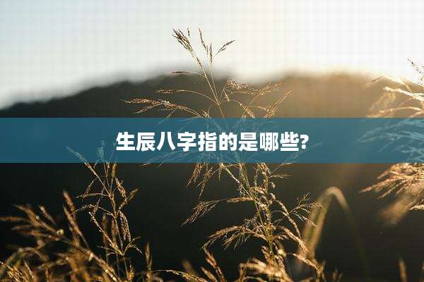 生辰八字指的是哪些?