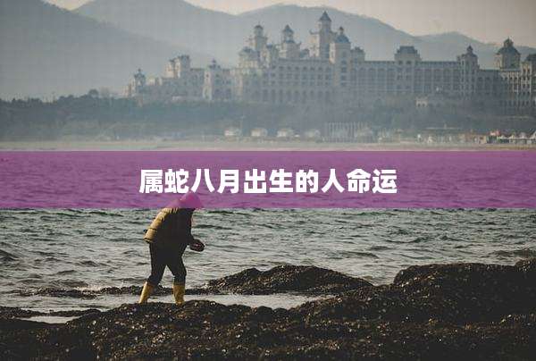 属蛇八月出生的人命运