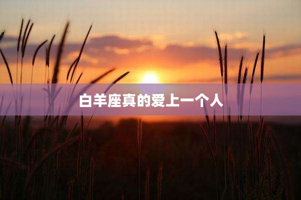 白羊座真的爱上一个人