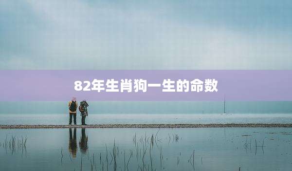 82年生肖狗一生的命数
