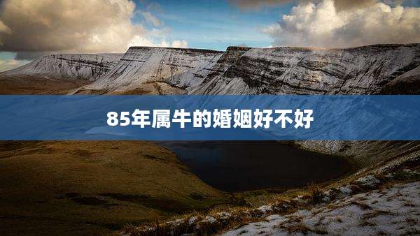 85年属牛的婚姻好不好
