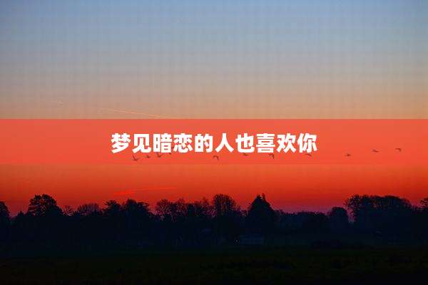 梦见暗恋的人也喜欢你