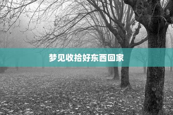 梦见收拾好东西回家