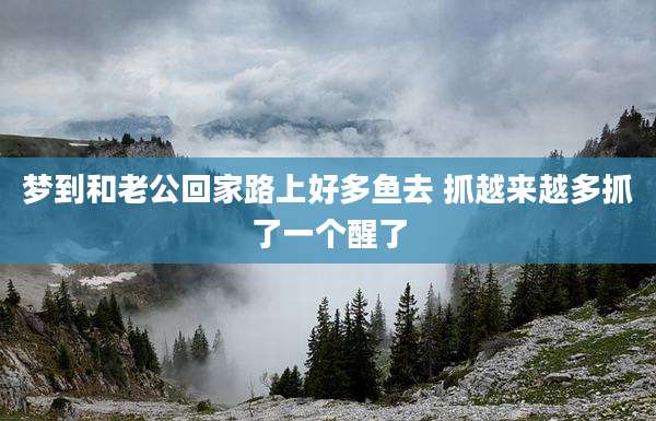 梦到和老公回家路上好多鱼去 抓越来越多抓了一个醒了