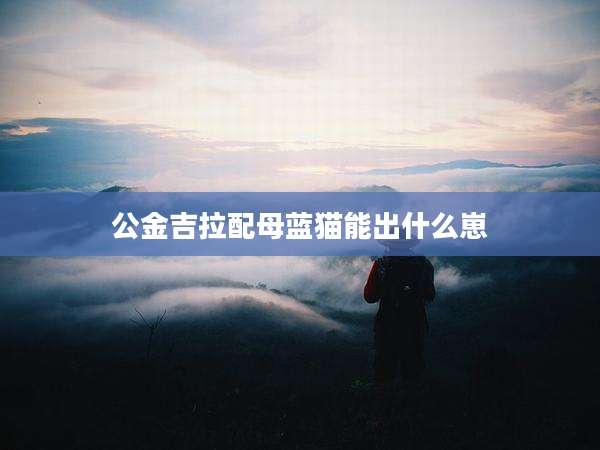 公金吉拉配母蓝猫能出什么崽