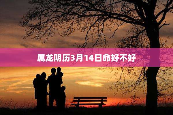 属龙阴历3月14日命好不好