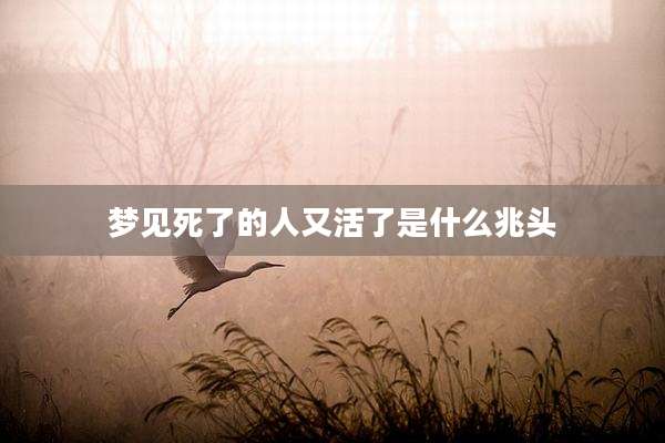 梦见死了的人又活了是什么兆头