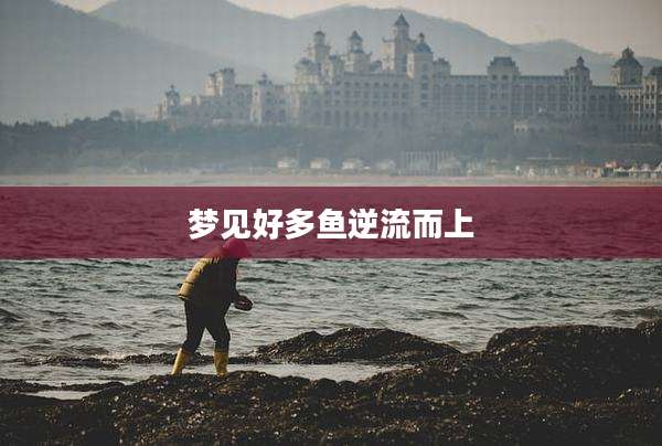 梦见好多鱼逆流而上
