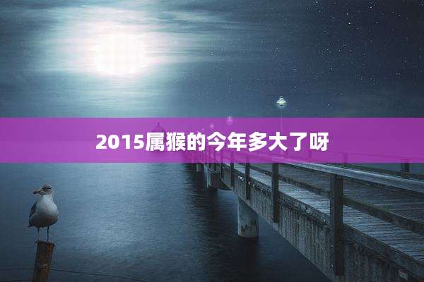 2015属猴的今年多大了呀