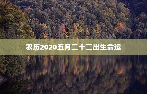 农历2020五月二十二出生命运