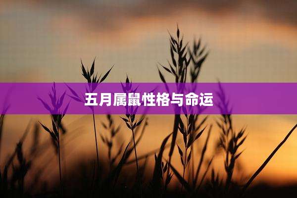 五月属鼠性格与命运
