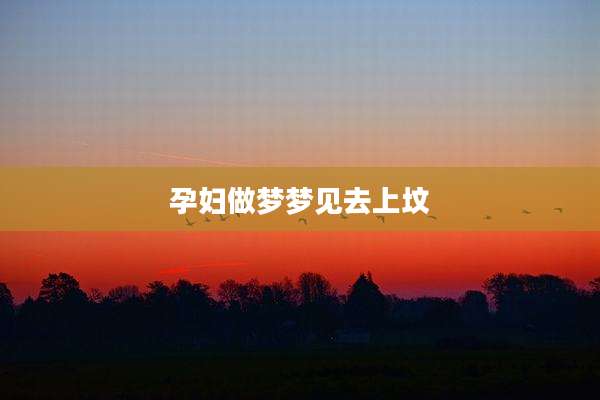 孕妇做梦梦见去上坟