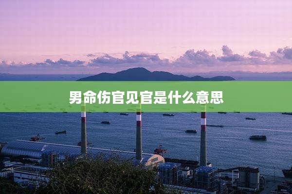 男命伤官见官是什么意思