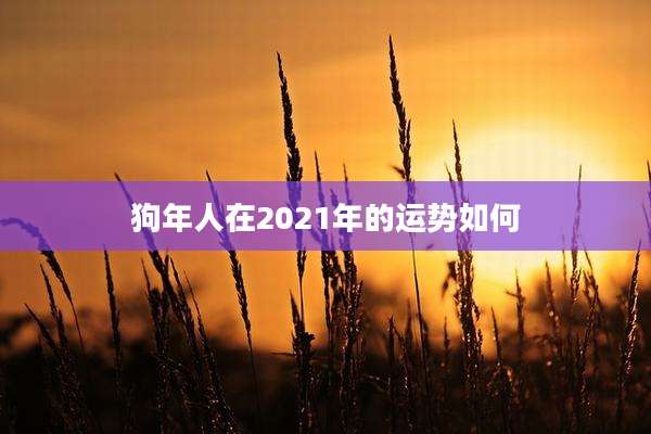 狗年人在2021年的运势如何