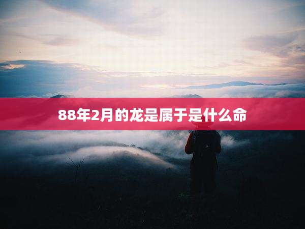 88年2月的龙是属于是什么命